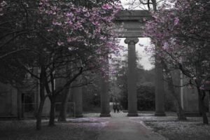 Manchester in Spring