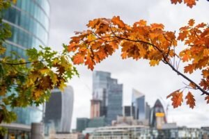 London Autumn