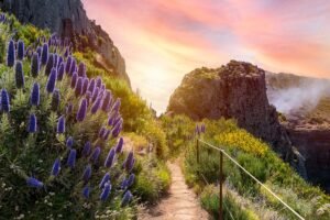 Studying English for Adults in Madeira
